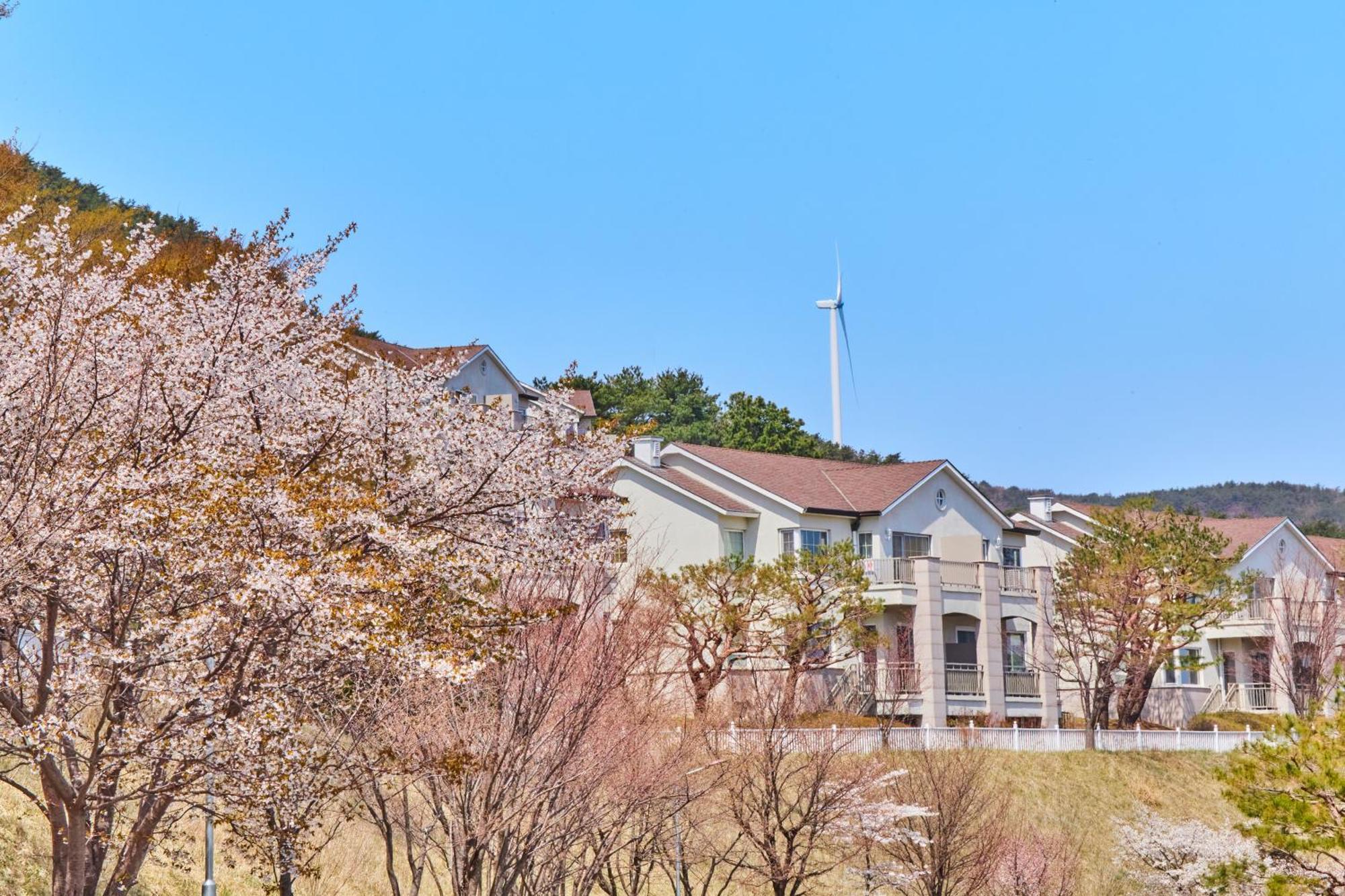 Gyeongju Mauna Ocean Resort Exteriér fotografie