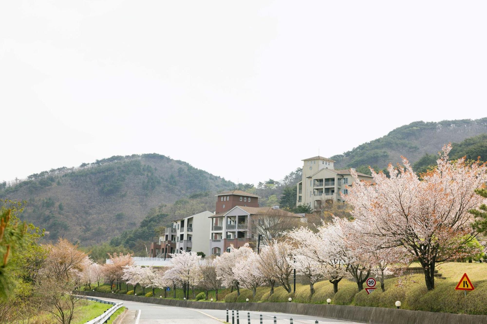 Gyeongju Mauna Ocean Resort Exteriér fotografie