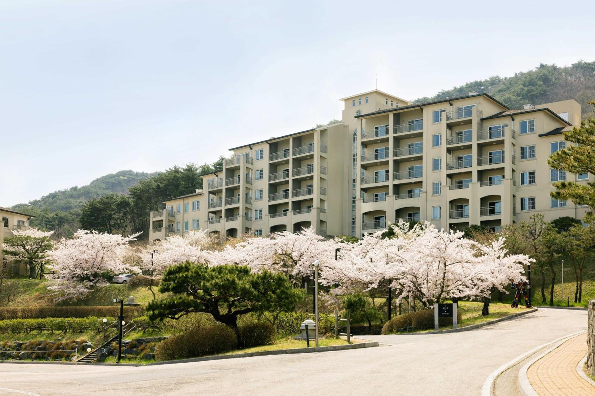 Gyeongju Mauna Ocean Resort Exteriér fotografie